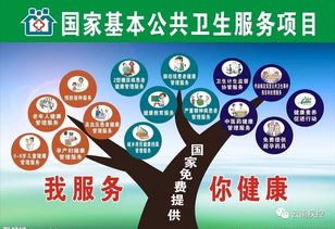传染病及突发公共卫生事件报告与处理 国家基本公共卫生服务的重要防线